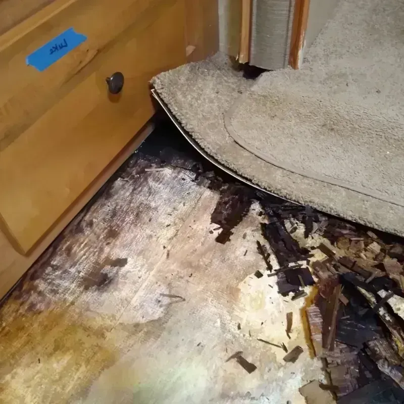 Wood Floor Water Damage in Fairton, NJ